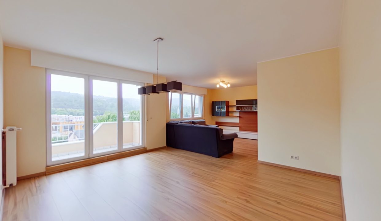 R0010313_20230803104522